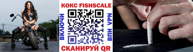 COCAIN Fish Scale  Купить где  Ельня 