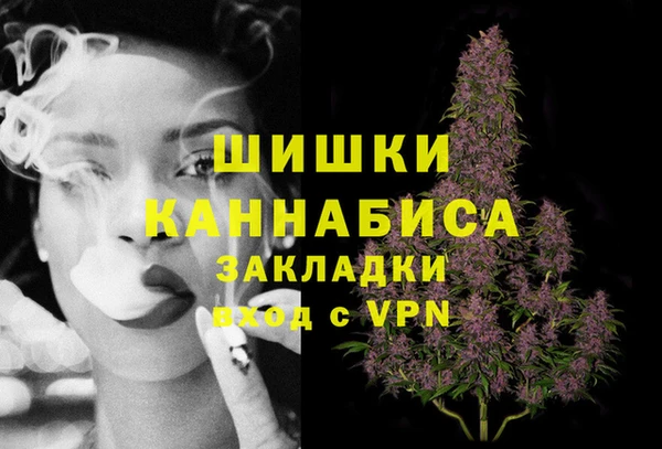 СК Медногорск